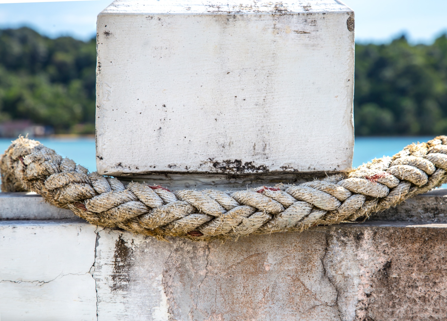 Marine ropes