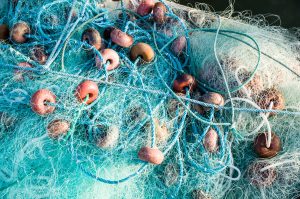 PP – MF Rope in Tamil Nadu