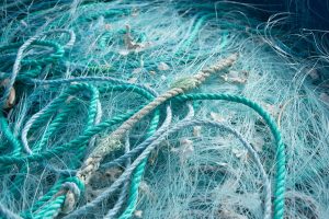 Best Super Trawl Net in Tamil Nadu