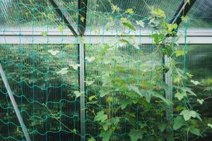 Quality PE Agro Net in Tamilnadu
